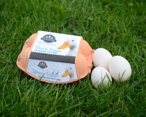 havensfield_duck_eggs
